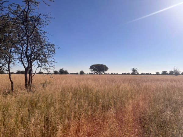 The CCF Reserve